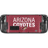 NHL Arizona Coyotes Lineup Steam Deck Handheld Gaming Computer Skin